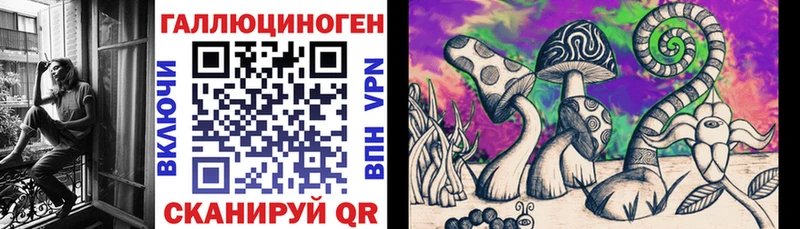 как найти   Ленинск  kraken ONION  Галлюциногенные грибы Psilocybine cubensis 